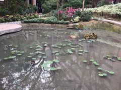 -香港大学