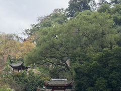 -乌山风景区