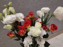 -循礼门鲜花花市(武汉循礼门店)