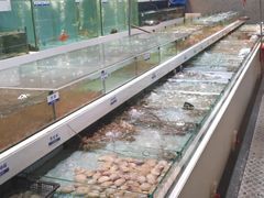 -新海利(北岭店)