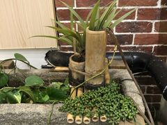 -小镇厨房(古镇店)