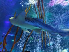 -沈阳海洋探索中心