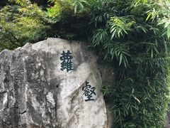 -檀园