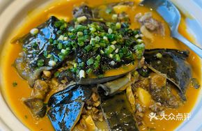 Yellow Stewed Turtle