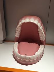 -欢乐陶陶儿童主题乐园(龙岗店)