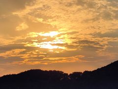 -水濂山森林公园