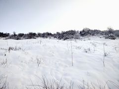 -太子岭滑雪场