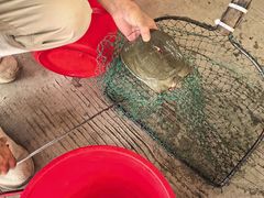 -粮心小农·大头虾亲子生态园(长发店)