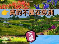-上海辰山植物园