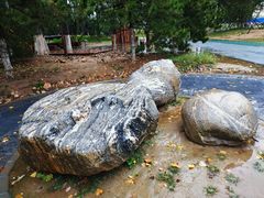 -回龙观体育文化公园