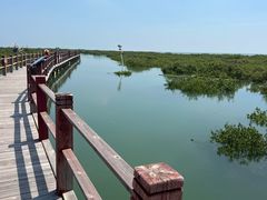 -北海金海湾红树林生态旅游区