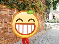 -晋江五店市传统文化旅游区