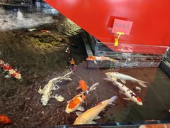 -太阳门淮扬菜(南京博物院店)
