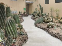 -正佳雨林生态植物园