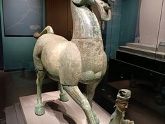 -广西壮族自治区博物馆