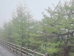 -富士山吉田線五合目