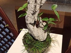 -墨池公园