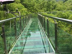 -陶祖圣境风景区