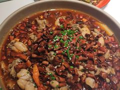 馋嘴牛蛙-乔阿马·江南味·驴肉香(龙湖华泾天街店)