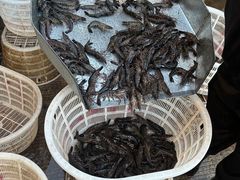 -海峡水产品交易中心(海鲜交易区)