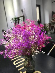 -Moyue HAIR SALON