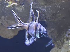 -南昌海洋公园