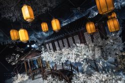 -三色锦婚礼定制