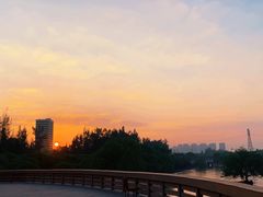 -宝安西湾红树林湿地公园