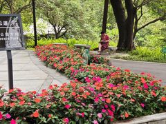 -广州雕塑公园