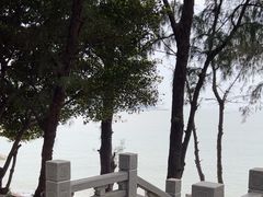 -宋井风景区
