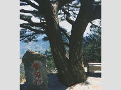 -罗田薄刀峰风景区