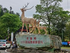 -长沙黑麋峰国家森林公园
