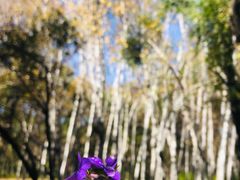 -长春市南湖公园