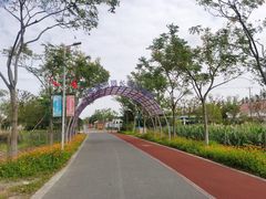 -上海长兴岛郊野公园