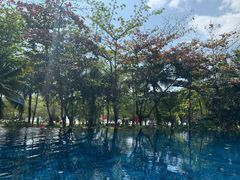 -三亚湾海居铂尔曼度假酒店