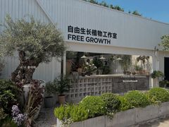 -自由生长植物工作室(深港花卉中心店)