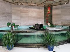 -楚鱼王·河鲜·湖北菜(华农店)
