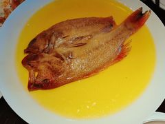 东星斑-甄御•海鲜新青岛菜(麦岛店)