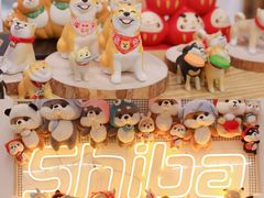 -豆柴町-柴犬主题狗咖(红鼎国际C座店)