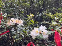 -腾冲云峰山