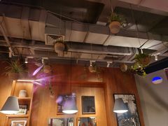 -Wagas沃歌斯(枫蓝国际店)