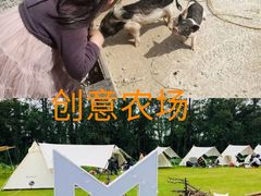 -前小桔亲子创意农场·草莓采摘·露营烧烤