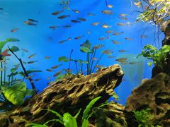 -太平洋海底世界