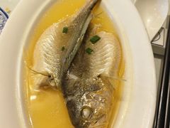 -福来齐·鲁菜海鲜·渔家菜(朝阳街分店)