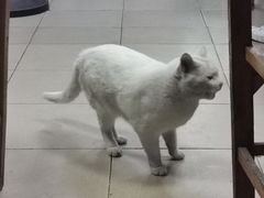 -甜甜屋(解放中路店)