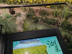 -四川大学博物馆
