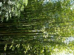 android_upload_pic-新竹里馆·花园餐厅(兴苑路店)