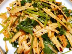 -一轩饺子馆(丽都店)