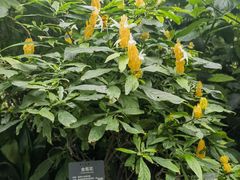 -北京植物园-展览温室