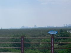 -北海金海湾红树林生态旅游区